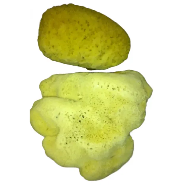 Deniz Süngeri Sarı Kilo