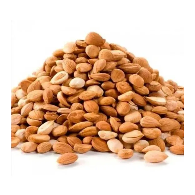 Acı Kayısı Çekirdeği