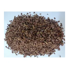 Selvi Kozalak Tohumu