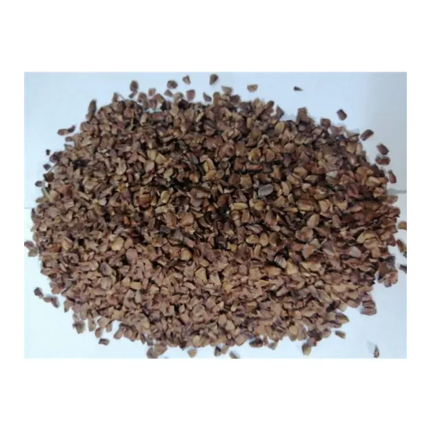 Selvi Kozalak Tohumu