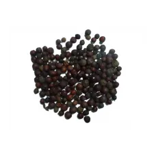 Ardıç Tohumu Kırmızı Ardıç Tohumu Kırmızı