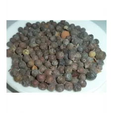 Ardıç Tohumu Siyah Ardıç Tohumu Siyah