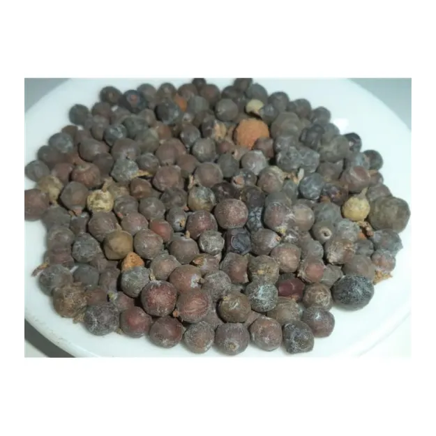 Ardıç Tohumu Siyah