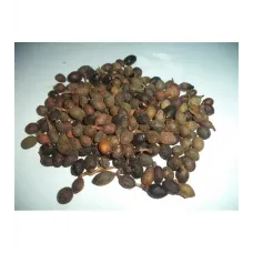 Defne Tohumu (tenel Toh.)