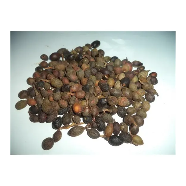 Defne Tohumu (tenel Toh.) 100 GR