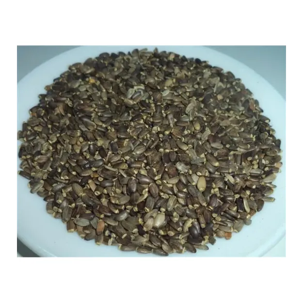 Deve Dikeni (kenger Tohumu)