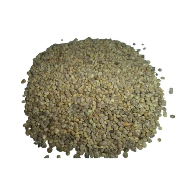 Ispanak Tohumu Matador