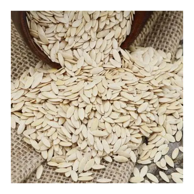 Salatalık Tohumu 500 GR