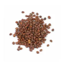 Turp Tohumu Kırmızı