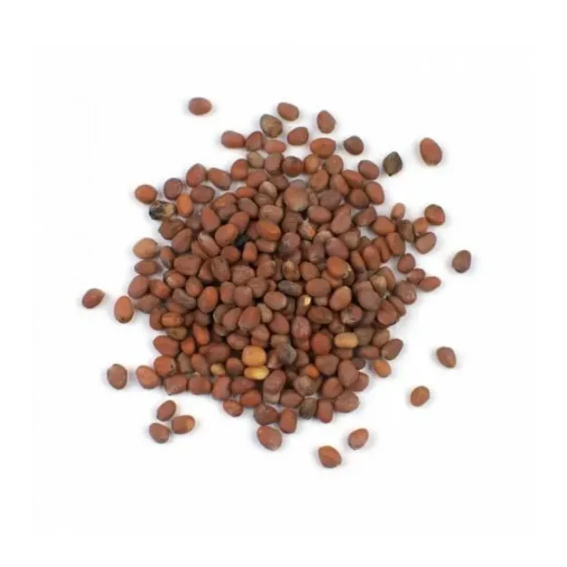 Turp Tohumu Kırmızı  250 GR