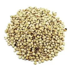 Sorgum Tohumu-cin Elması