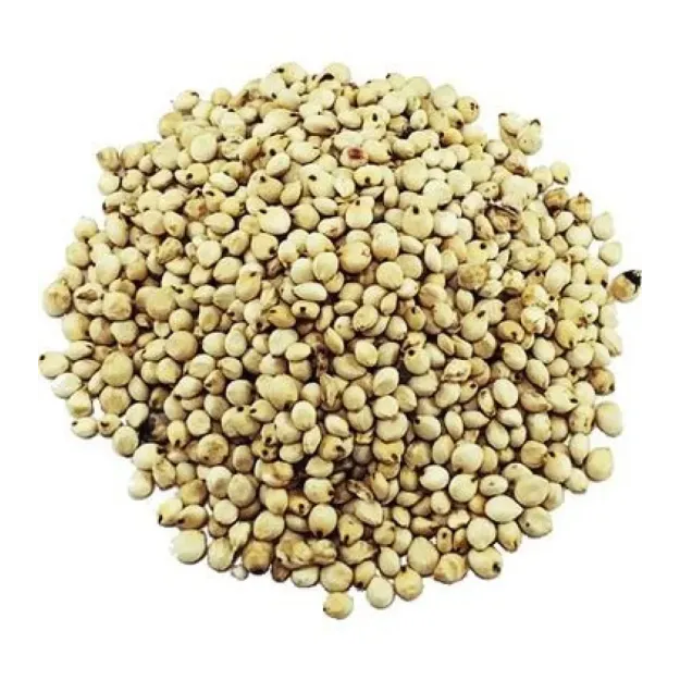 Sorgum Tohumu-cin Elması 500 GR