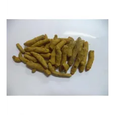 Zerdeçal Tane Hindistan