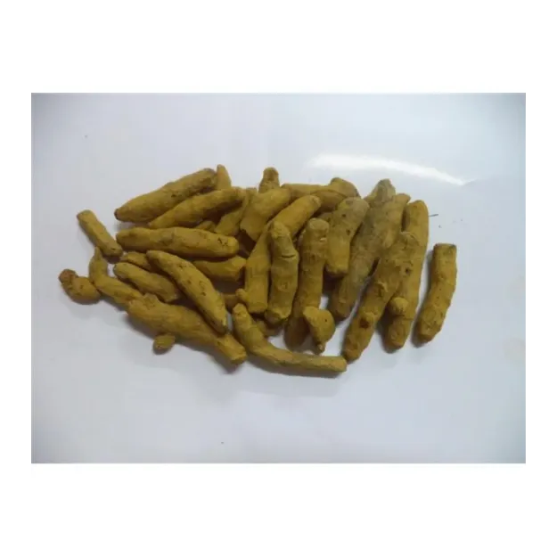 Zerdeçal Tane Hindistan